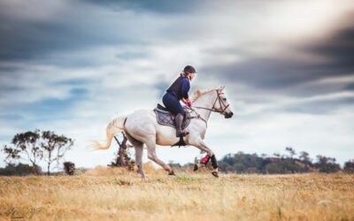 IDSHS Victorian Studbook Inspection and Irish Sport Horse Registration Day