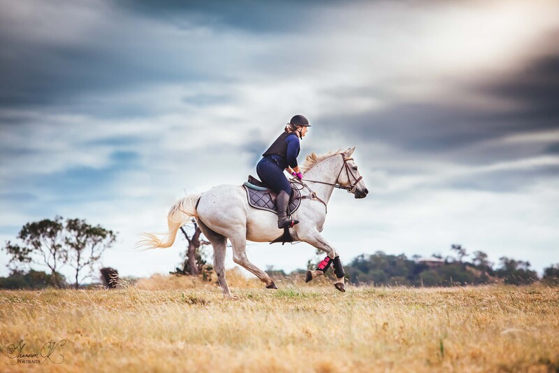 IDSHS Victorian Studbook Inspection and Irish Sport Horse Registration Day