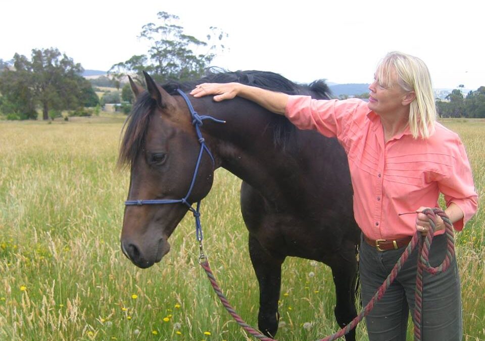 Irish Draught and Irish Sport Horse National Breed Spectacular